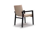 Picture of ASTOR DINING ARM CHAIR