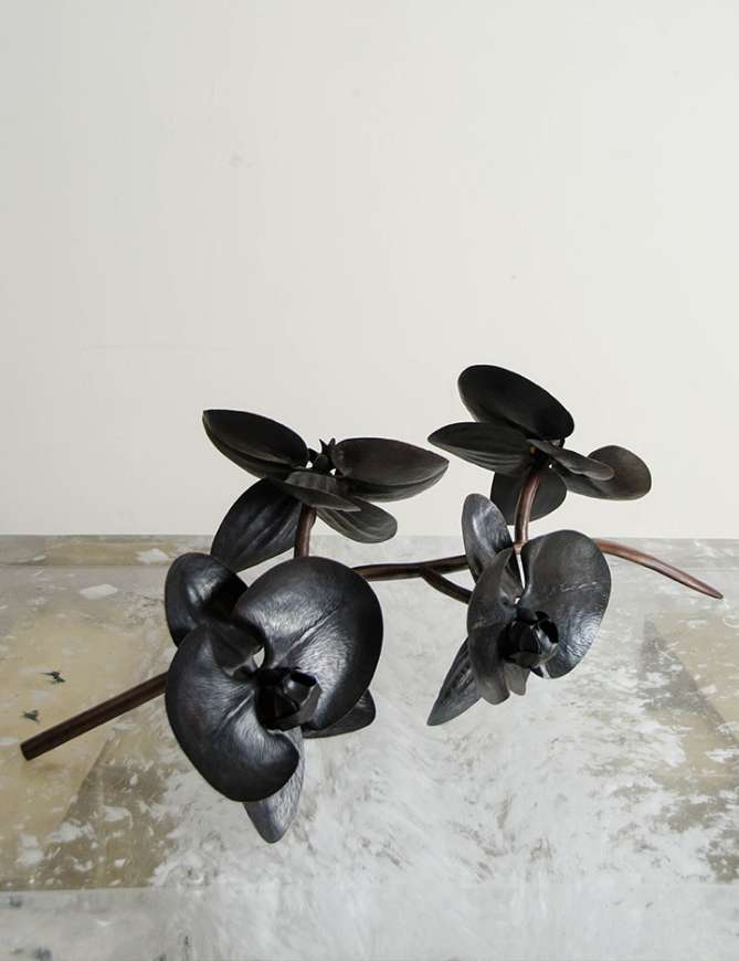Picture of ORCHID - COPPER